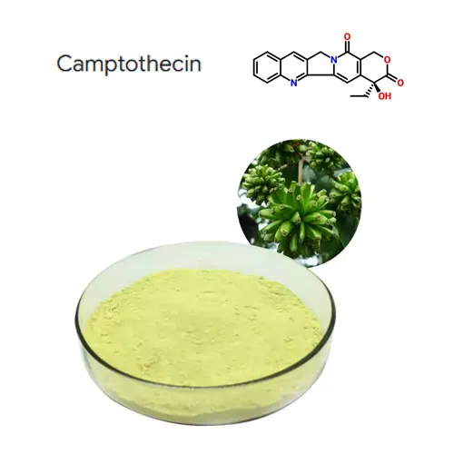 Висока чистоћа 98% Цамптотецин екстракт биљке праха ЦАС 7689-03-4